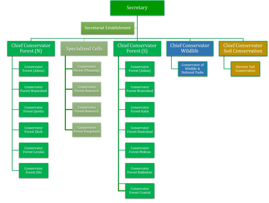 Organogram